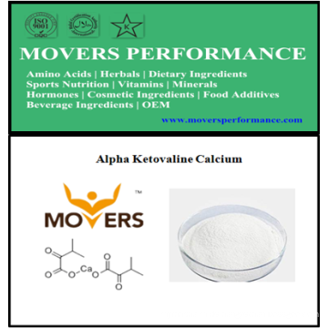 Hochwertige Aminosäuren: Alpha Ketovaline Calcium